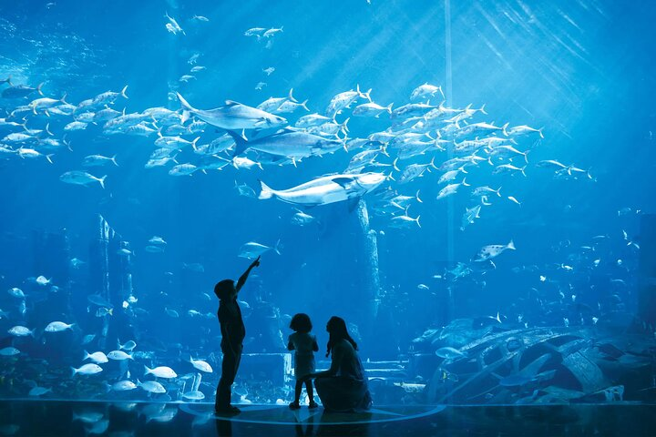 Dive into the mesmerizing world of the Ambassador Lagoon where families connect while marveling at an underwater paradise filled with thousands of marine creatures exploring ancient myths.